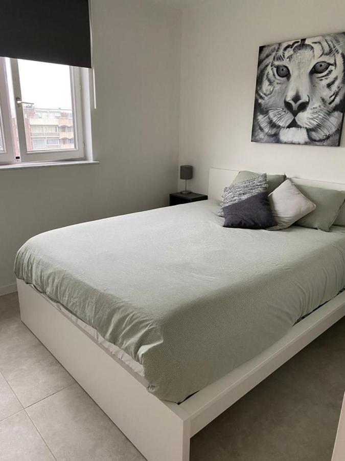 Gezellig 1 Slaapkamer Appartement Nabij Het Stadscentrum هاسيلت المظهر الخارجي الصورة